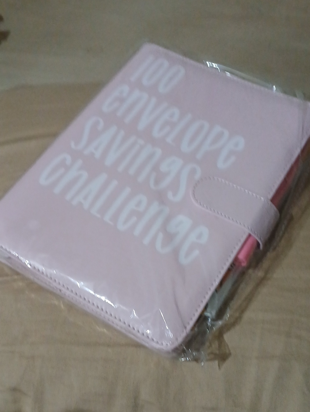 100 Envelope Savings Challenge Pink Wallet Organizer